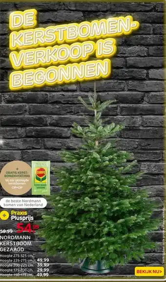Praxis Central Park Kerstboom - Nordmann - aanbieding