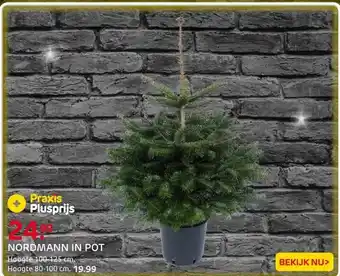 Praxis Central Park Kerstboom - Nordmann - In aanbieding