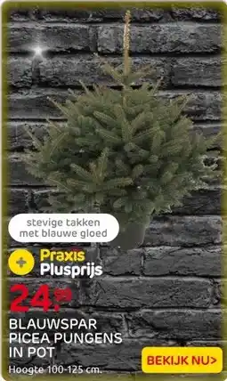 Praxis Central Park Kerstboom - Blauwspar - In aanbieding