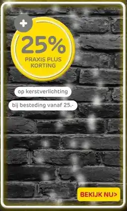 Praxis op kerstverlichting aanbieding