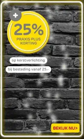 Praxis op kerstverlichting aanbieding