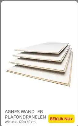 Praxis AGNES WAND- EN PLAFONDPANELEN aanbieding