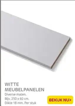 Praxis WITTE MEUBELPANELEN aanbieding