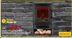 Praxis Livn vrijstaande haard Kent aanbieding