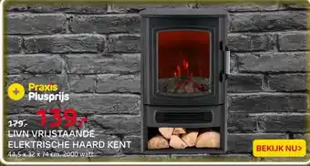Praxis Livn vrijstaande haard Kent aanbieding