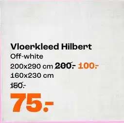 Kwantum Vloerkleed Hilbert aanbieding