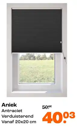 Kwantum Aniek aanbieding