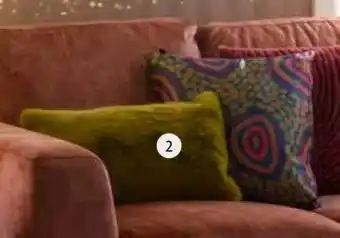 Intratuin Diverse kussens. aanbieding