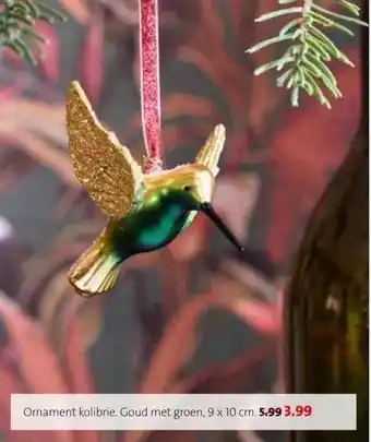 Intratuin Ornament kolibrie. aanbieding