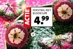 Intratuin Kerstbal met bloem aanbieding