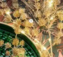 Intratuin Verlichte tak. aanbieding