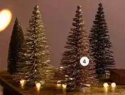 Intratuin Borstelboom glitter. aanbieding