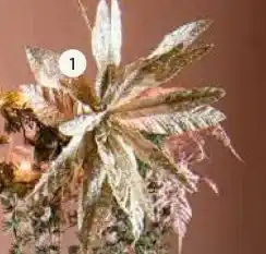 Intratuin Bloem Ella. aanbieding