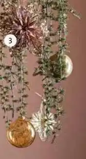 Intratuin Kerstster. aanbieding