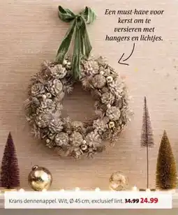 Intratuin Krans dennenappel. aanbieding