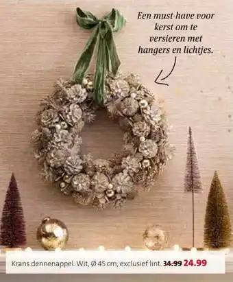 Intratuin Krans dennenappel. aanbieding