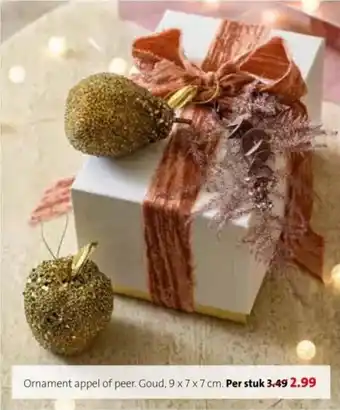 Intratuin Ornament appel of peer. aanbieding