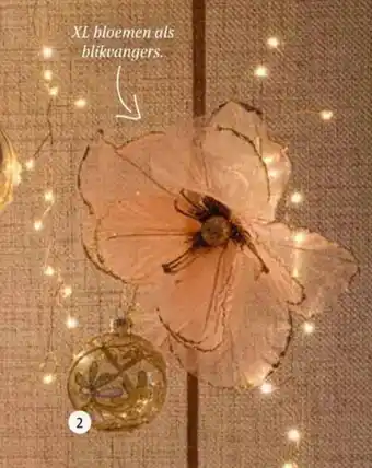 Intratuin Kerstbal Raki of Sako. aanbieding