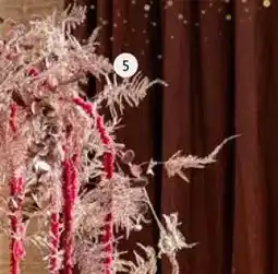 Intratuin Asparagus. Roségoud aanbieding