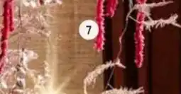 Intratuin Spray. aanbieding