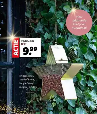 Intratuin Pindasilo ster. aanbieding