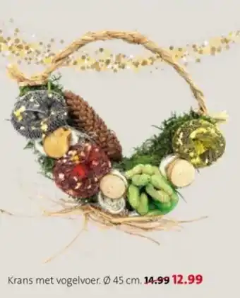 Intratuin Krans aanbieding