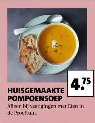 Intratuin Huisgemaakte pompoensoep aanbieding