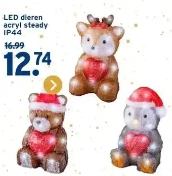 GAMMA LED dieren acryl steady IP44 aanbieding