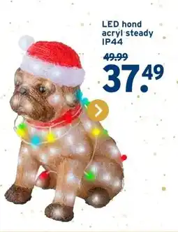 GAMMA LED hond acryl steady IP44 aanbieding