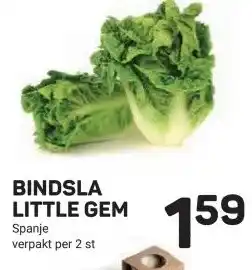 Ekoplaza BINDSLA LITTLE GEM aanbieding