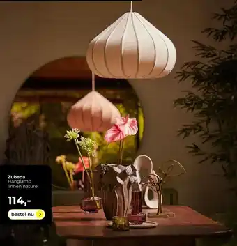Lampidee Zubeda aanbieding