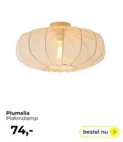 Lampidee Plumalia aanbieding
