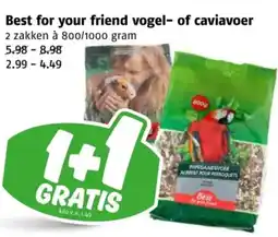 Poiesz Best for your friend vogel of caviavoer aanbieding