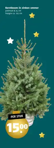 Poiesz Kerstboom in zinken emmer aanbieding