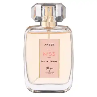 Kruidvat The Master Perfumer Nr.53 Amber Eau de Toilette aanbieding