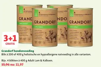 Grandorf hondenvoeding