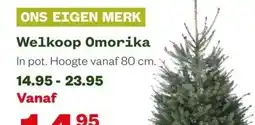 Welkoop Welkoop Omorika aanbieding