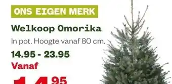 Welkoop Welkoop Omorika aanbieding