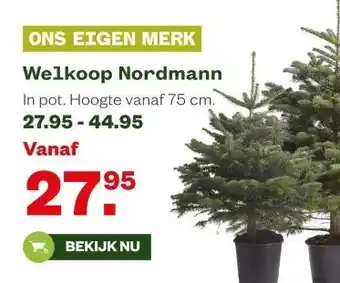 Welkoop Welkoop Nordmann aanbieding