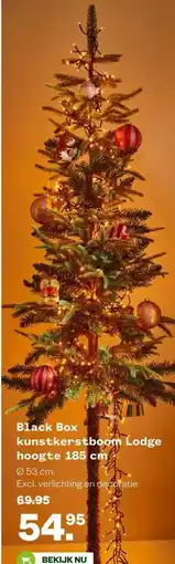 Welkoop Black Box kunstkerstboom Lodge aanbieding