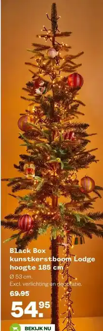 Welkoop Black Box kunstkerstboom Lodge aanbieding
