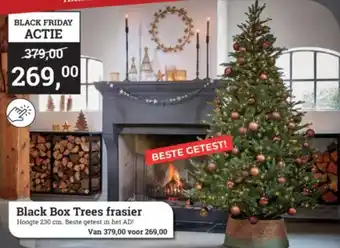 Tuincentrum Osdorp Black box trees frasier aanbieding