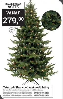 Tuincentrum Osdorp Triumph sherwood met verlichting aanbieding
