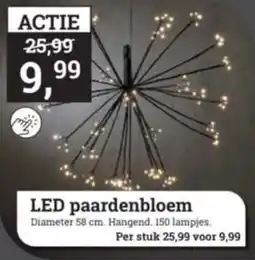 Tuincentrum Osdorp Led paardenbloem aanbieding