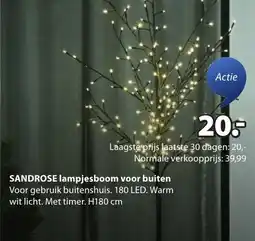 Jysk Sandrose lampjesboom voor buiten aanbieding