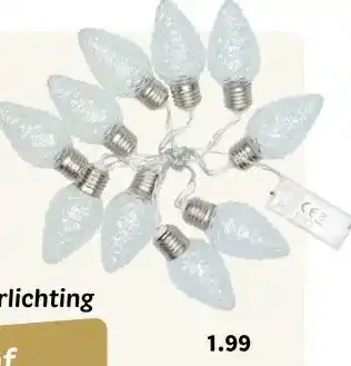 Wibra LED verlichting dennenappels transparant aanbieding