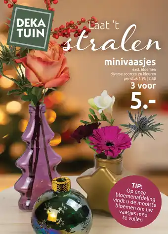 Deka Tuin Minivaasjes aanbieding