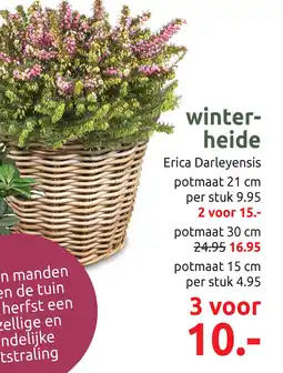 Deka Tuin Winter heide aanbieding