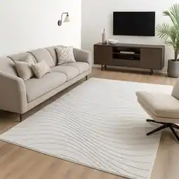 Action Vloerkleed Wave aanbieding