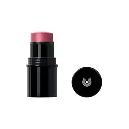 Holland & Barrett Dr. Hauschka Lip to Cheek Blush Stick 03 Rosewood - 6.1g aanbieding